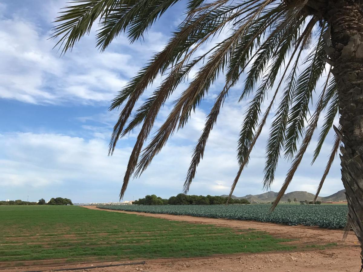 Casa Encanto - Ribera Beach In Mar De Cristal Eksteriør bilde